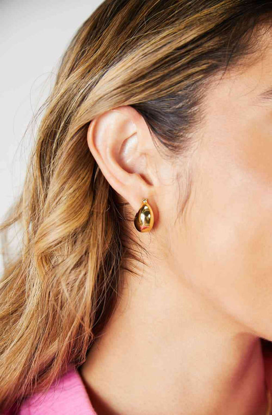 Drop Stainless Steel Gold Plated Earrings